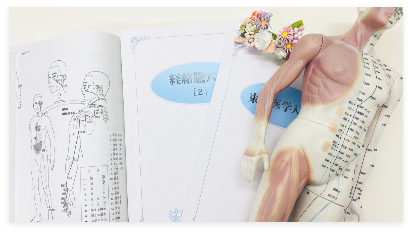 神戸中医経絡研究会